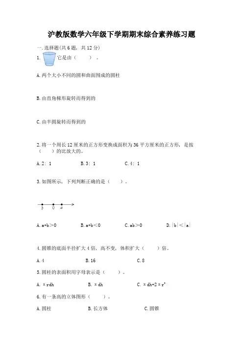 沪教版数学六年级下学期期末综合素养练习题附参考答案(考试直接用)