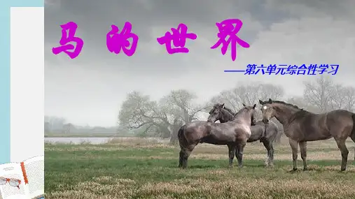 七年级语文下册(人教版)马_的_世_界ppt课件