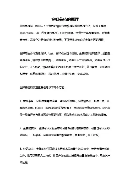 金蝉养殖的原理