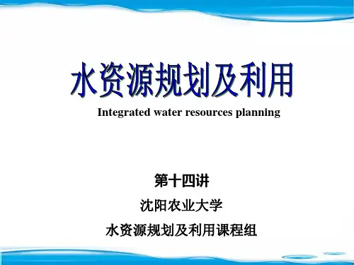 水资源规划及利用(14)