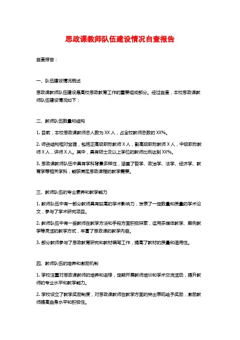 思政课教师队伍建设情况自查报告