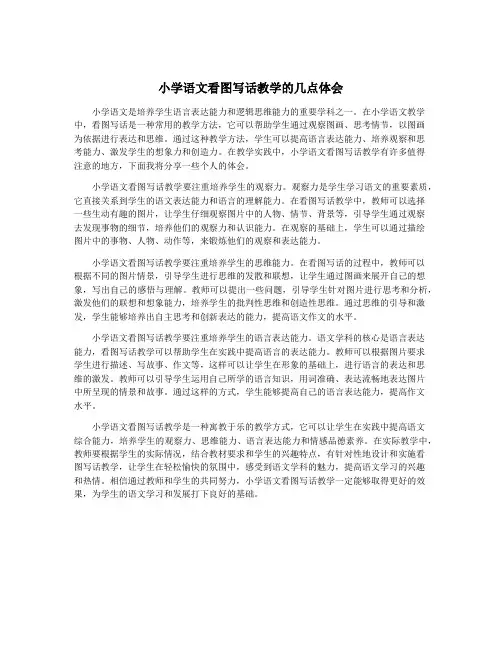 小学语文看图写话教学的几点体会