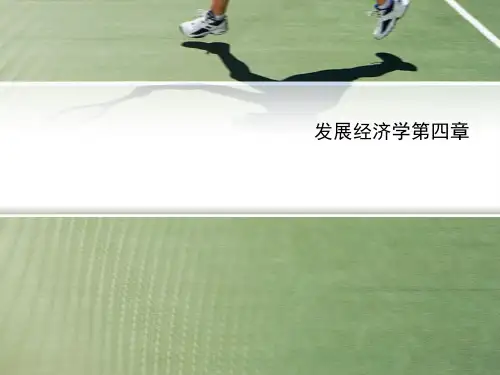 发展经济学第四章