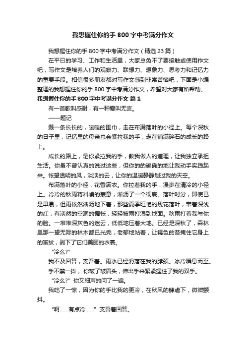 我想握住你的手800字中考满分作文