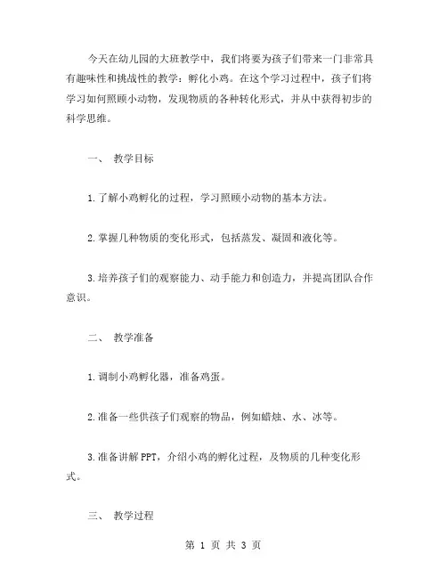 《孵化小鸡》大班语言教案