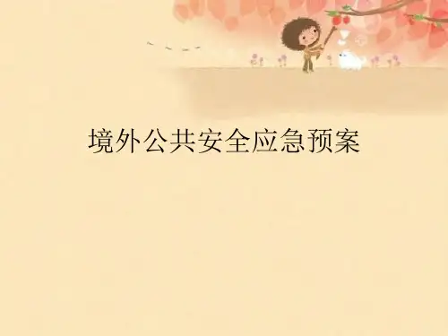境外公共安全应急预案【可编辑PPT】