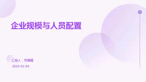 企业规模与人员配置