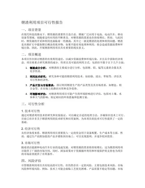 锂渣利用项目可行性报告