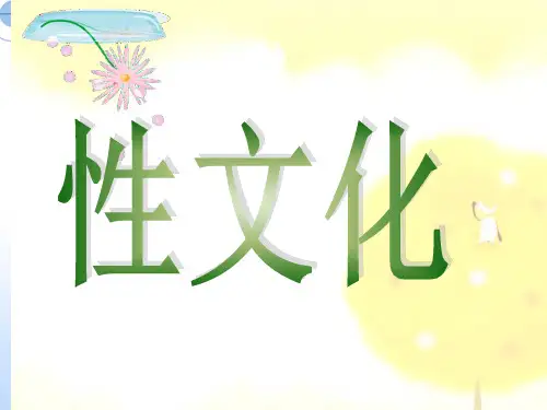 性社会学2 性文化