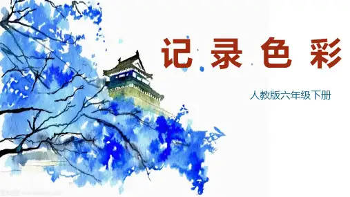 六年级美术下册《记录色彩》PPT课件,共29页