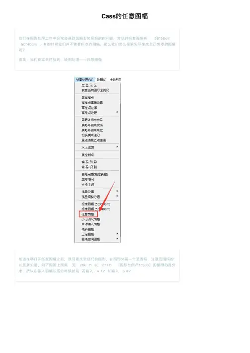 Cass的任意图幅