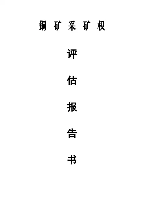 2017年铜矿采矿权评估报告书