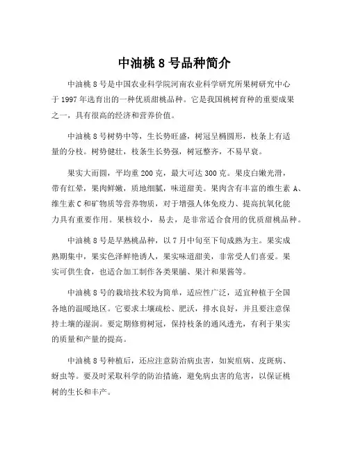 中油桃8号品种简介