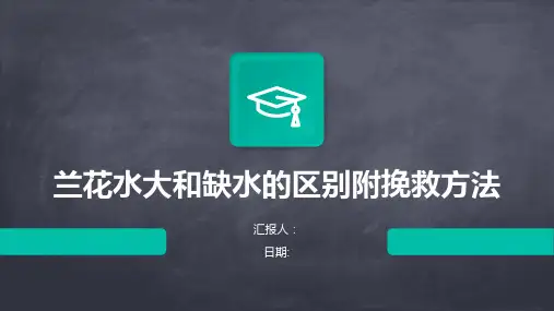 兰花水大和缺水的区别附挽救方法