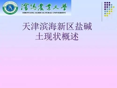 天津滨海新区盐碱土现状概述