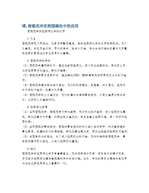 球,宿根花卉在校园绿化中的应用