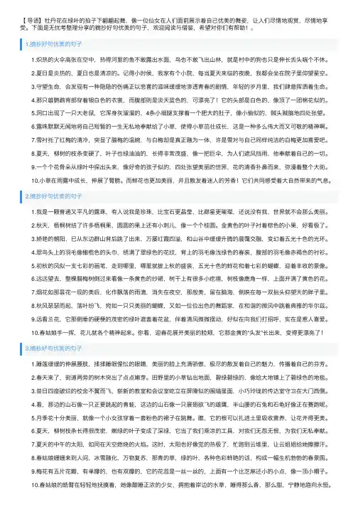 摘抄好句优美的句子（5篇）