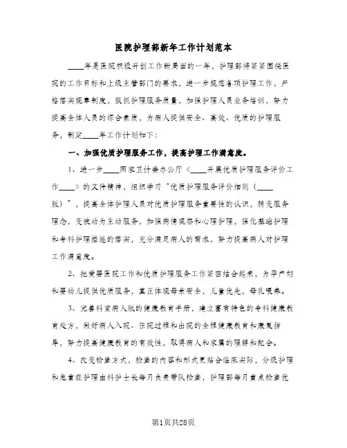 医院护理部新年工作计划范本(6篇)