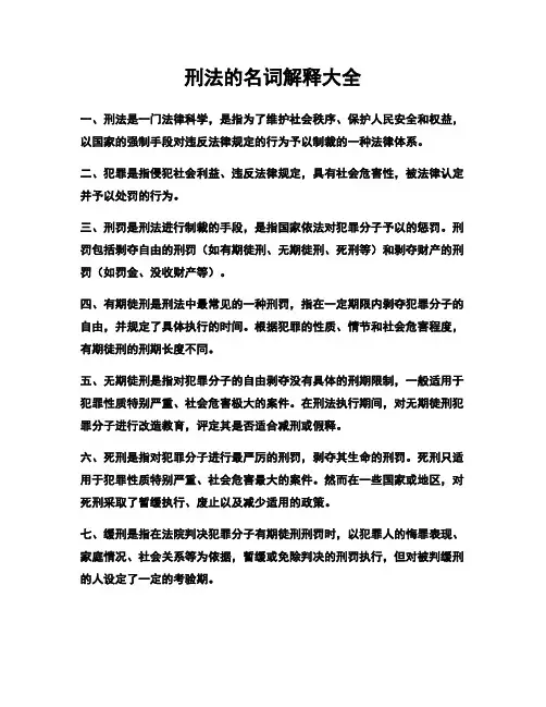 刑法的名词解释大全