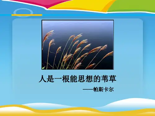 《人是一根能思考的苇草》短文三篇PPT下载