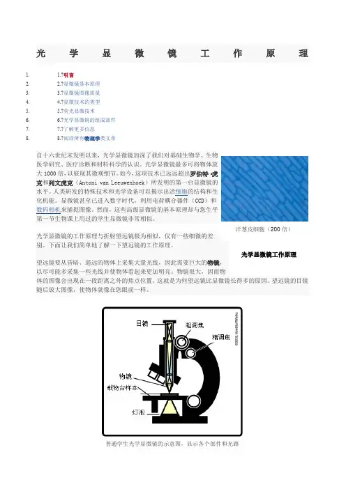 光学显微镜工作原理