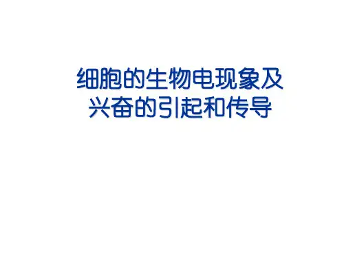 细胞的生物电现象及兴奋的引起和传导 课件