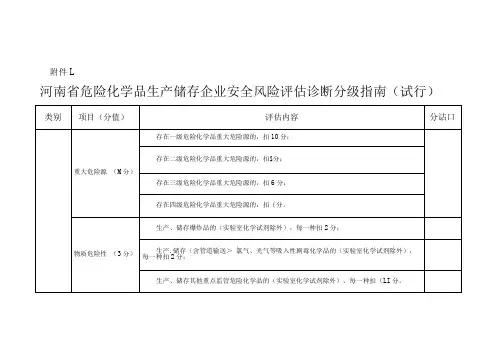 安全风险评估诊断分级指南