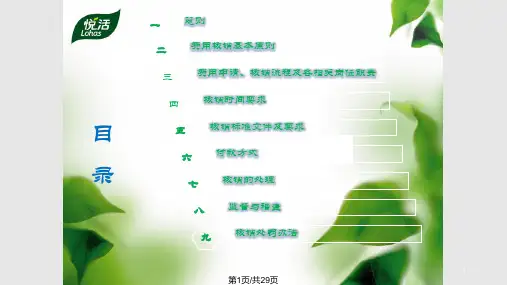 经销商费用核销PPT课件