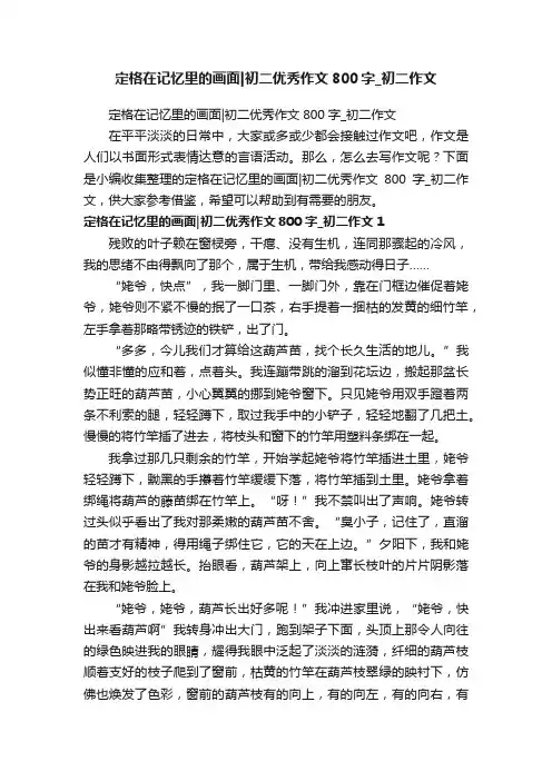 定格在记忆里的画面初二优秀作文800字_初二作文