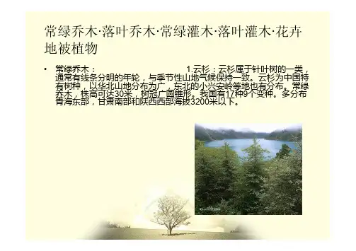 常绿乔木·落叶乔木·常绿灌木·落叶灌木·花卉地被植物