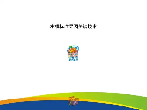 柑橘标准果园关键技术