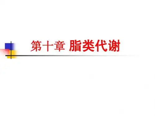 生物化学脂类代谢