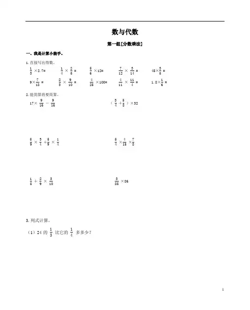 数与代数(六数复习专项训练)含答案