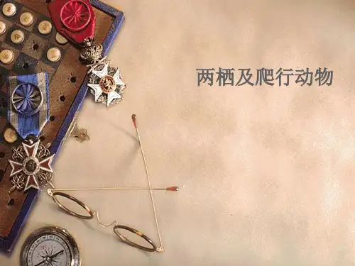 两栖及爬行动物