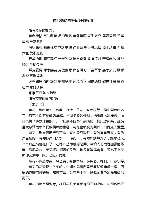 描写菊花的好词好句好段