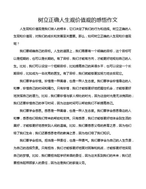 树立正确人生观价值观的感悟作文