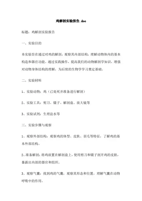 鸡解剖实验报告doc