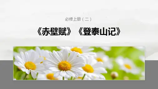 2025版高考语文一轮复习讲义-必修上册(二) 单篇梳理3 赤壁赋