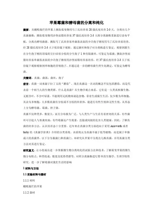 苹果霉菌和酵母菌的分离与纯化