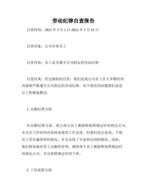劳动纪律自查报告