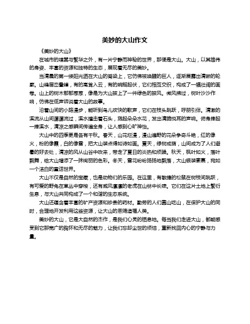美妙的大山作文