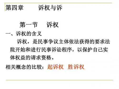 第四章  诉权与诉