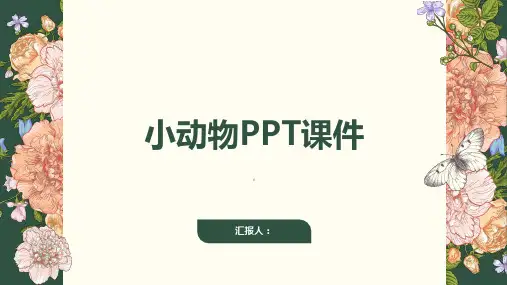 《写一种小动物》课件