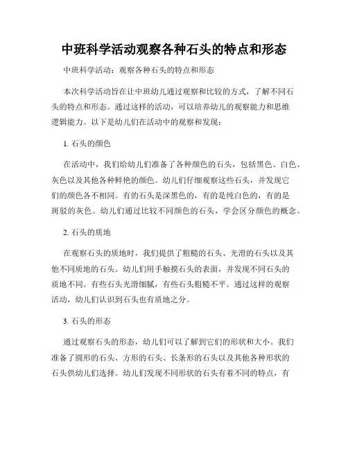 中班科学活动观察各种石头的特点和形态