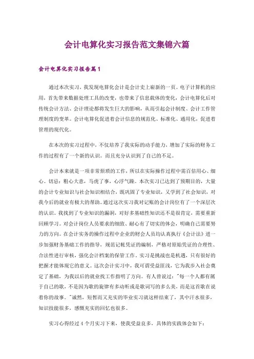 2024年会计电算化实习报告范文集锦六篇