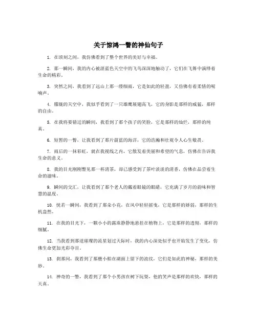 关于惊鸿一瞥的神仙句子