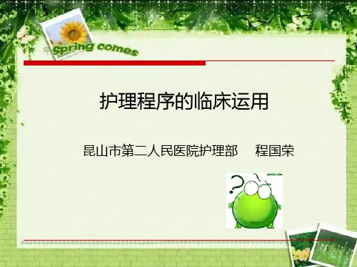 护理程序的临床运用PPT课件