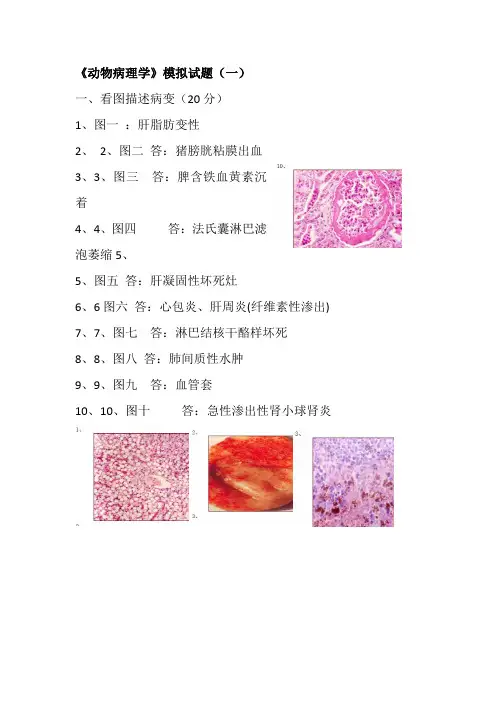 《动物病理学》1模拟试题1-6套