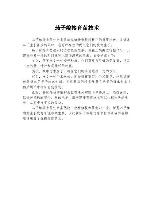 茄子嫁接育苗技术