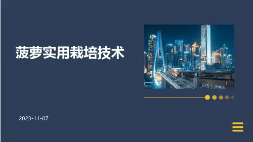 菠萝实用栽培技术